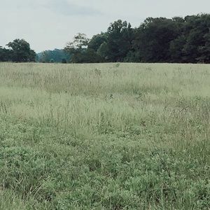 Meet your Posher, Maia